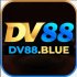 dv88