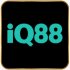 iq88