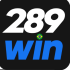 289win app