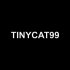 TinyCat99