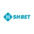 sh-bet-1