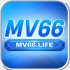 mv66life