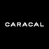 Caracal