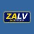 Zalv