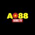 AO88