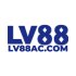 LV88