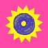 donut-studio