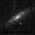 Violet Andromeda