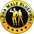 Alpha Male Blueprint