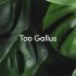 Too_Gallus