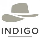 INDIGO Concept