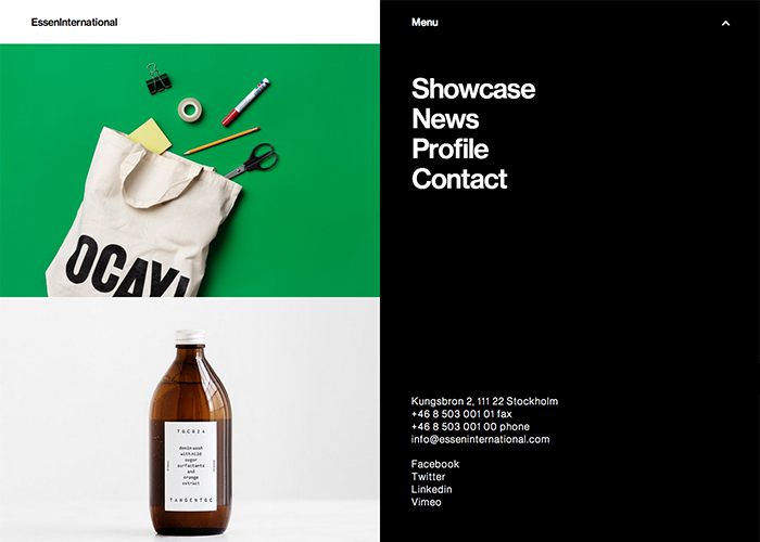 Essen International — Site of the Day - May 6, 2014 website design