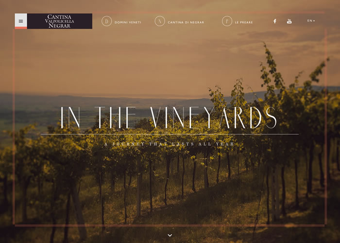 Cantina Valpolicella Negrar award-winning website design screenshot 1