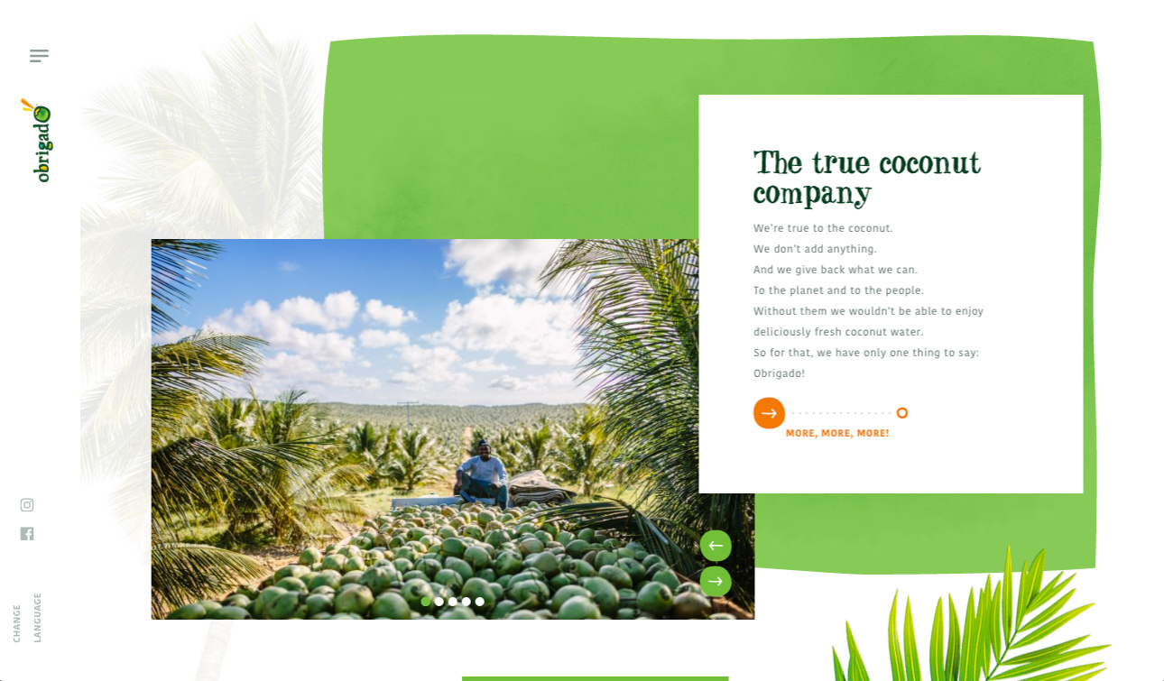 Obrigado Coconut Water