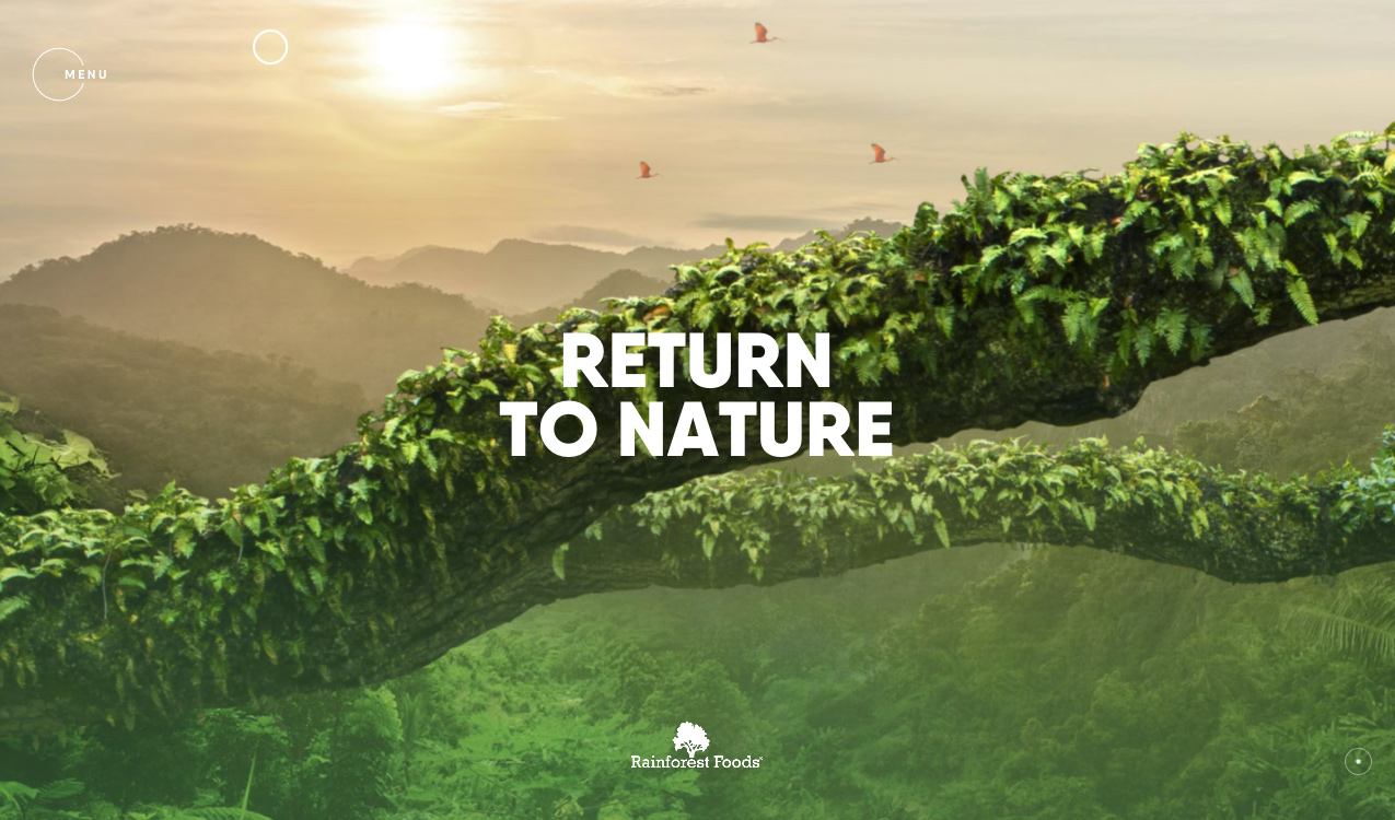 Rainforest Foods Experience