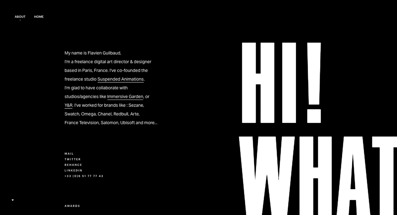 Flavinsky - Portfolio 2017
