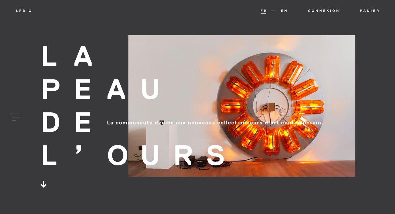 La peau de l'ours