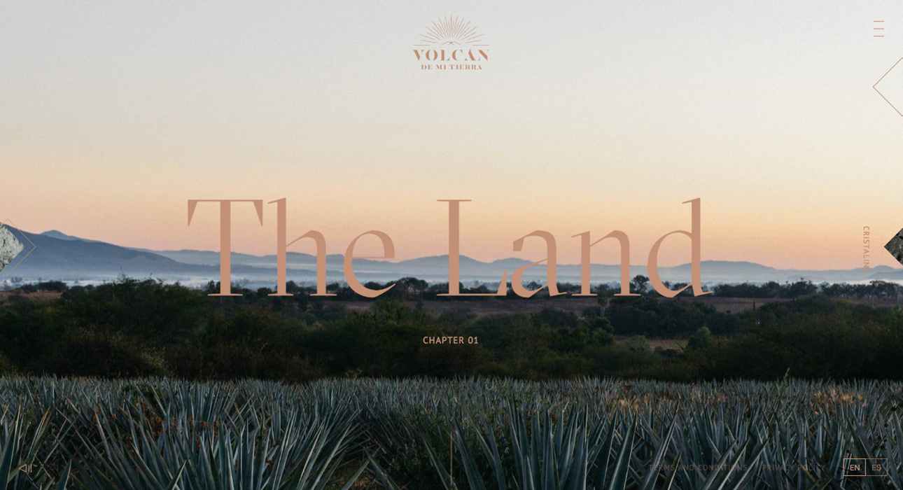 Volcán De Mi Tierra Tequila