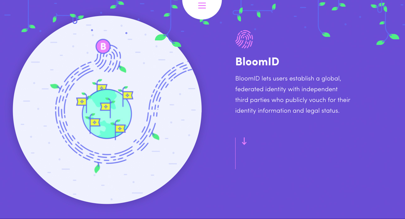 Bloom