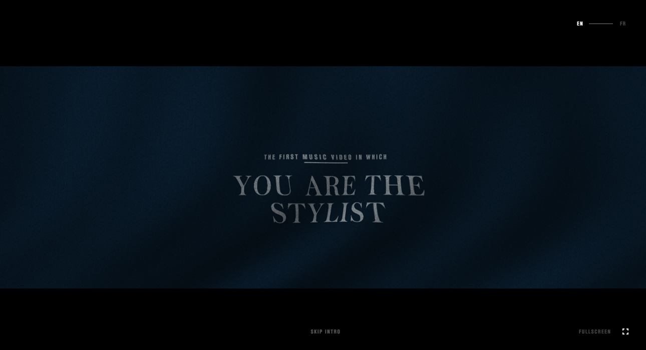 You are the stylist