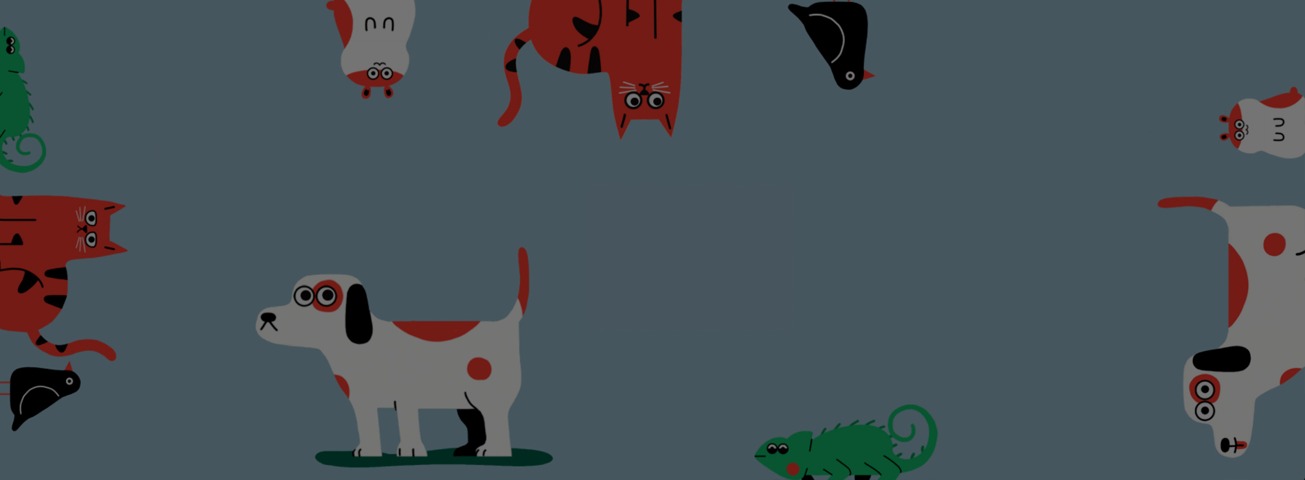 spotify pet playlist spotify pet playlist