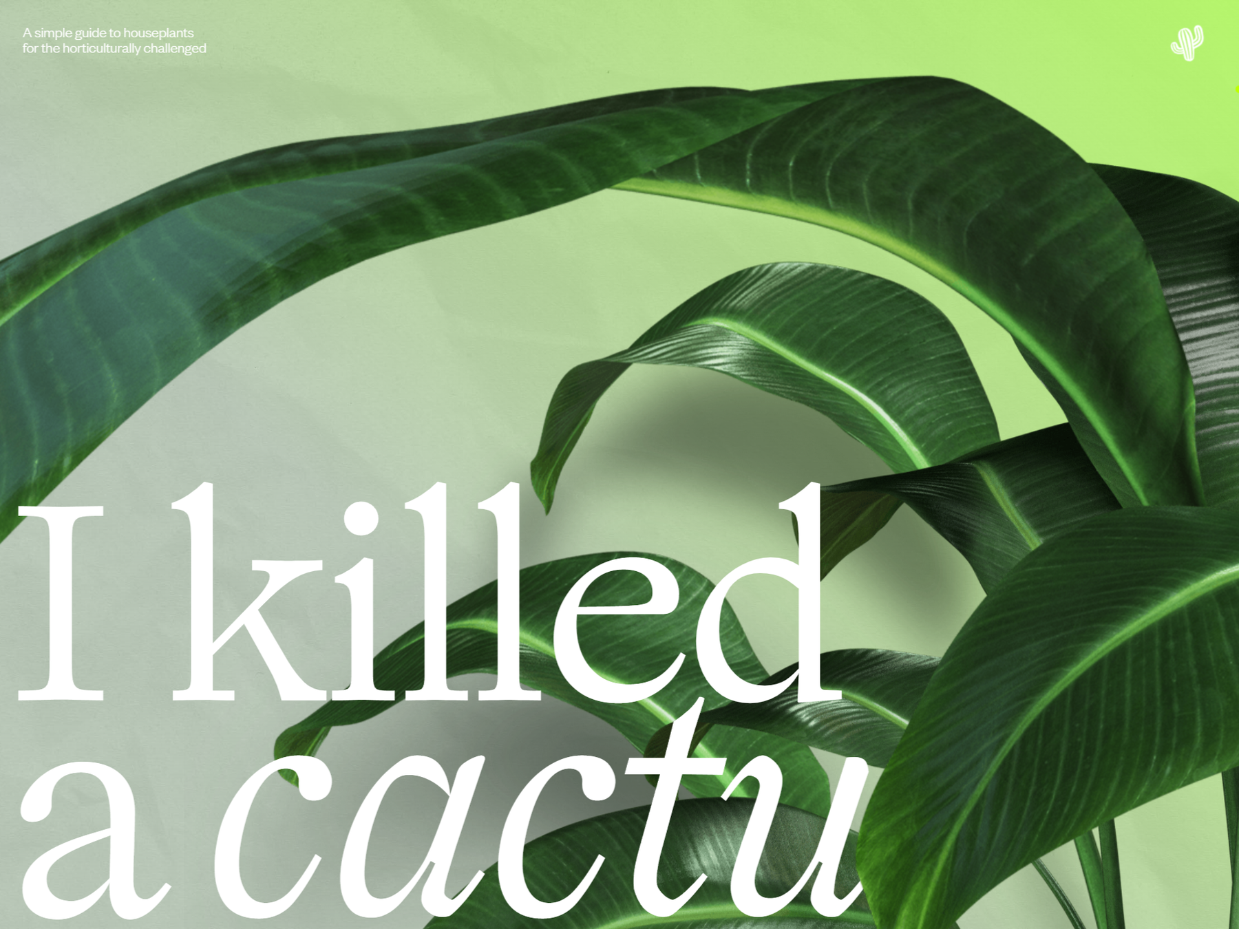 I Killed A Cactus