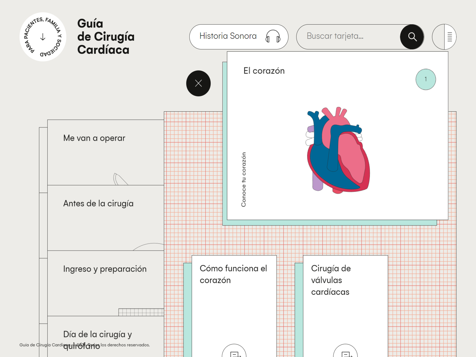 La Guía de Cirugía Cardíaca