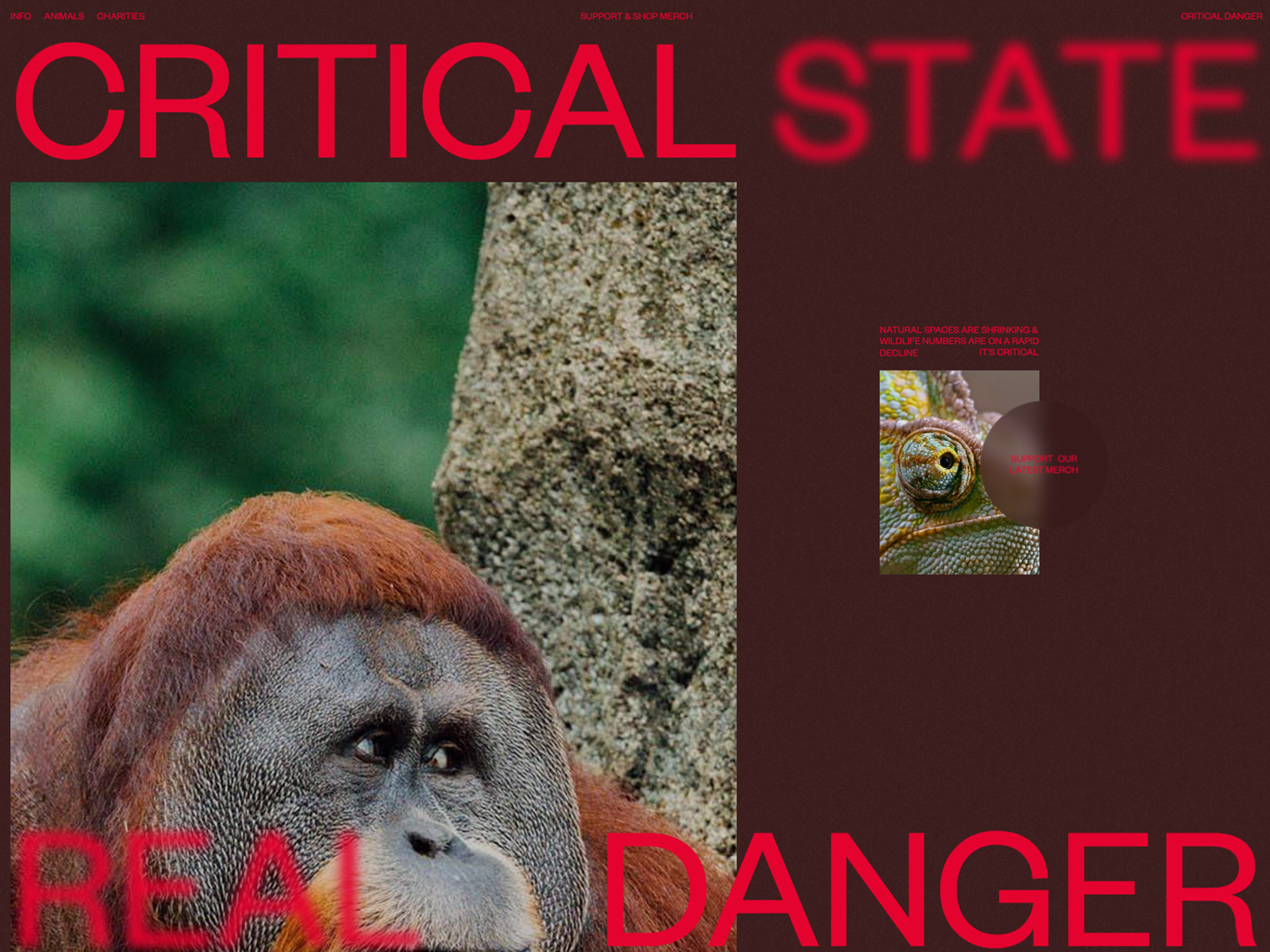 Critical Danger