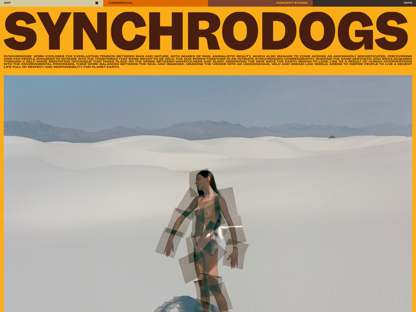 Synchrodogs Portfolio
