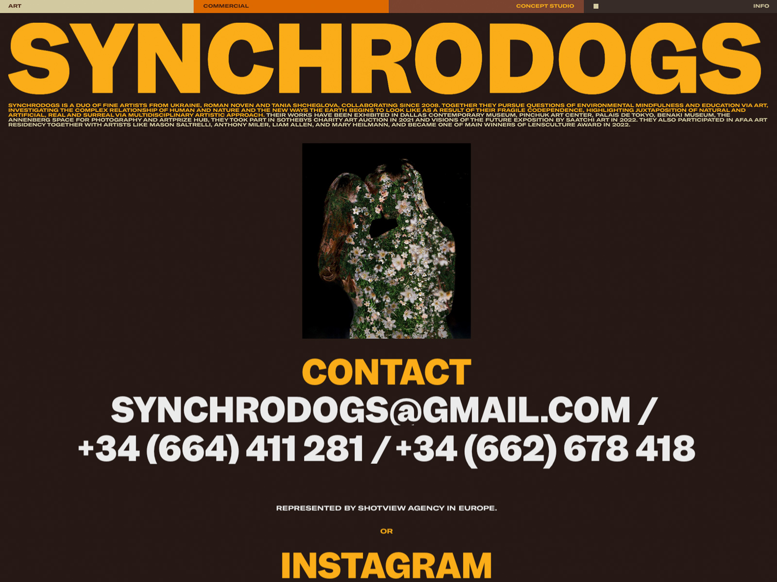 Synchrodogs Portfolio
