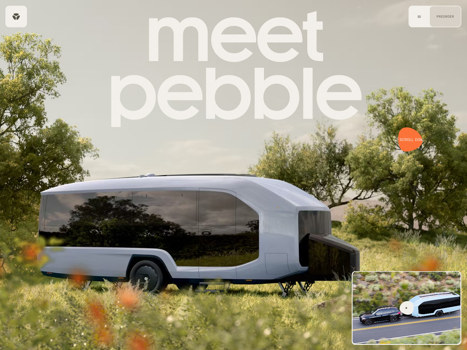 Pebble