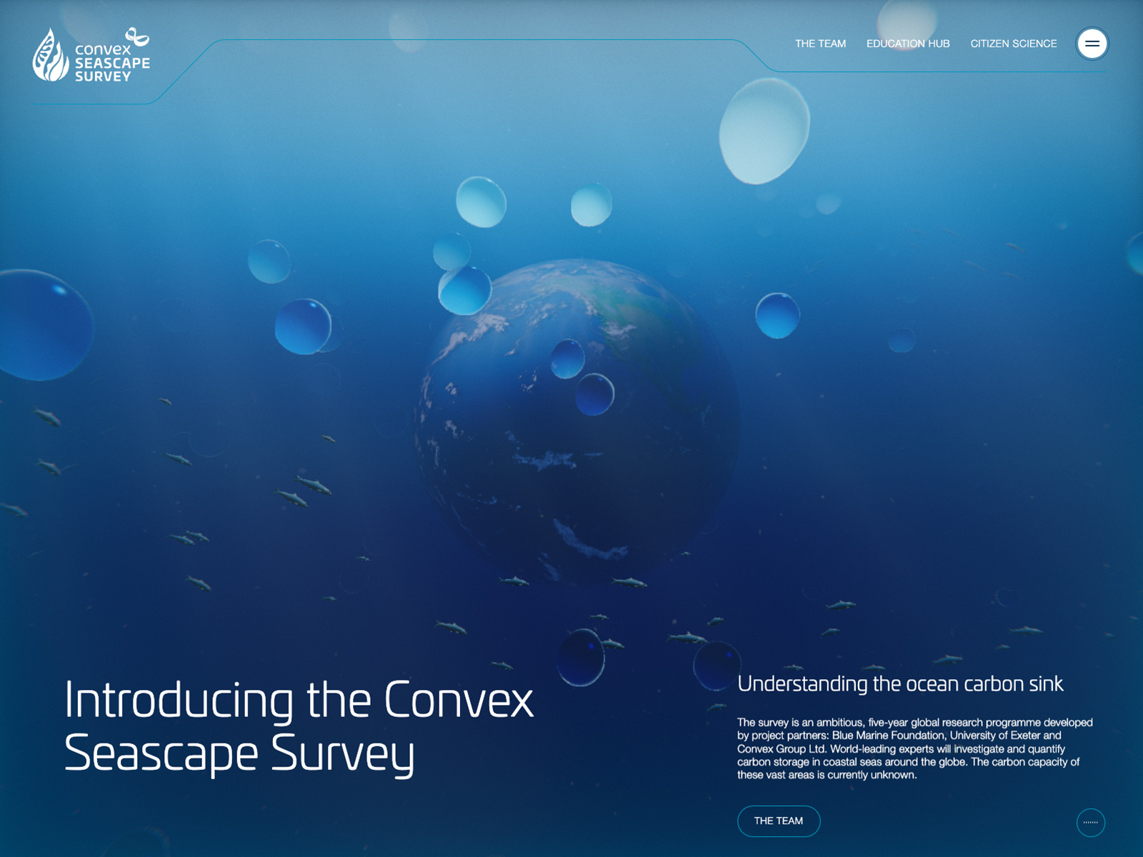 Convex Seascape Survey
