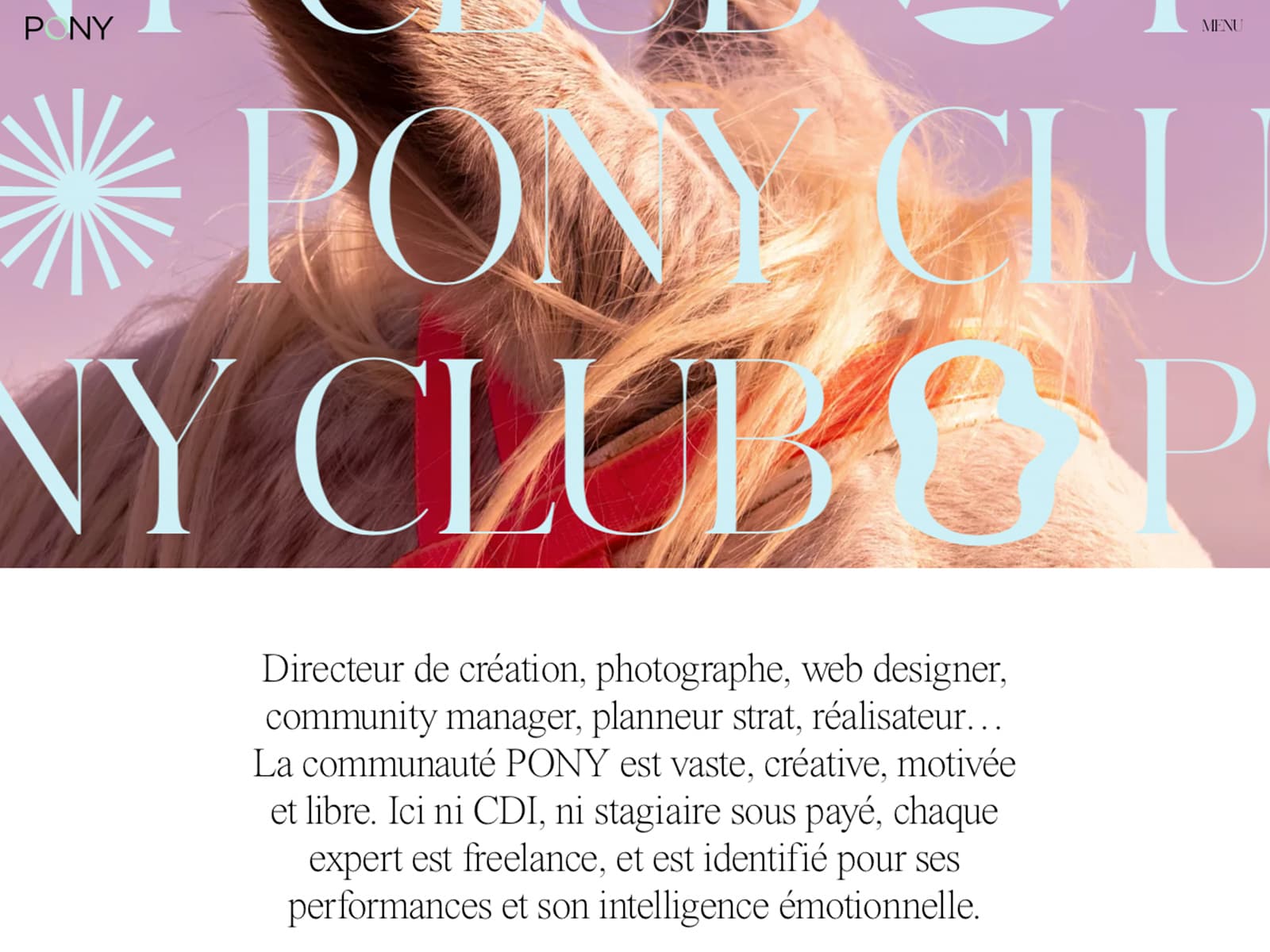 Pony agency