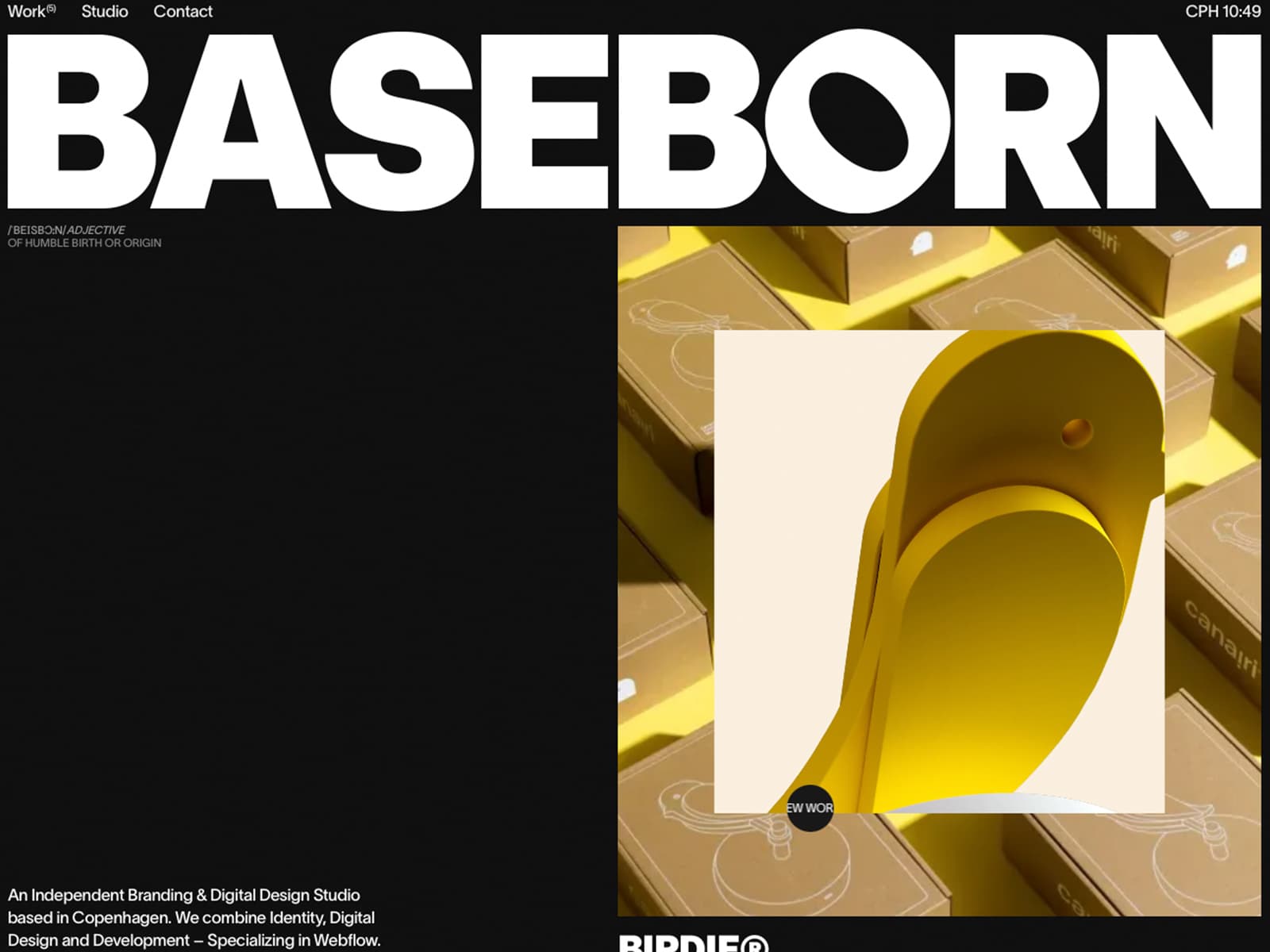 BASEBORN