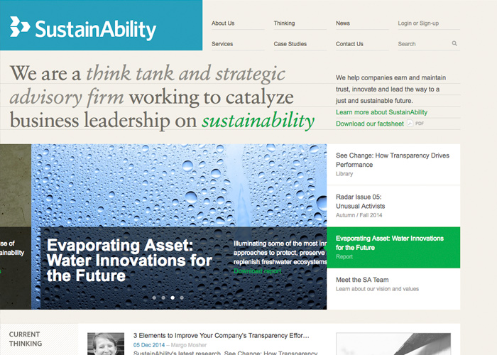 SustainAbility award-winning website design screenshot 1