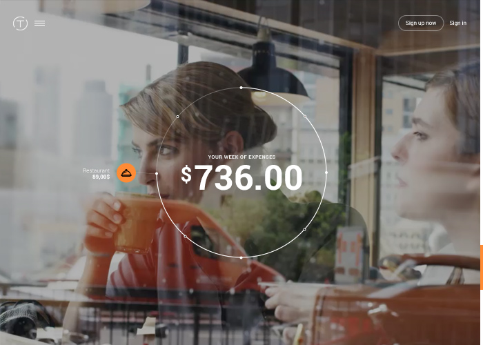 Trippeo award-winning website design screenshot 1