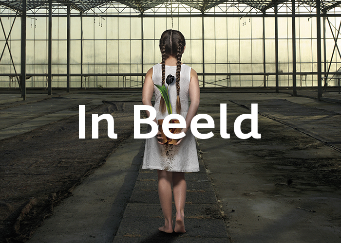 inBeeld award-winning website design screenshot 1
