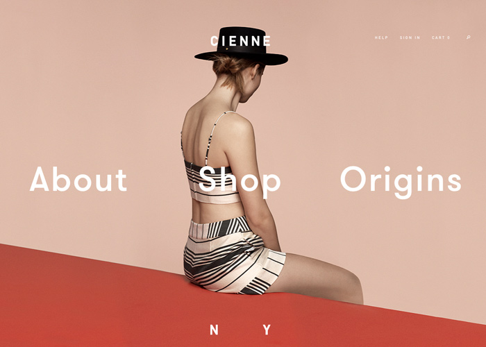 Cienne award-winning website design screenshot 1