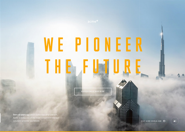 ACME award-winning website design screenshot 1