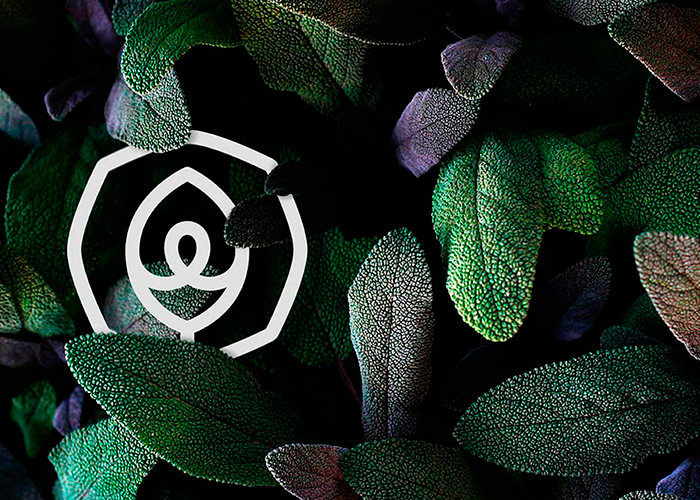 Al Erkyah City - Life well lived.