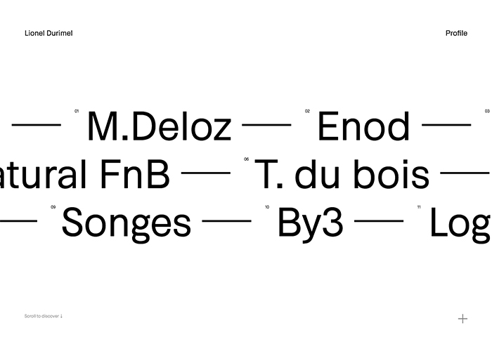 Lionel Durimel - Portfolio