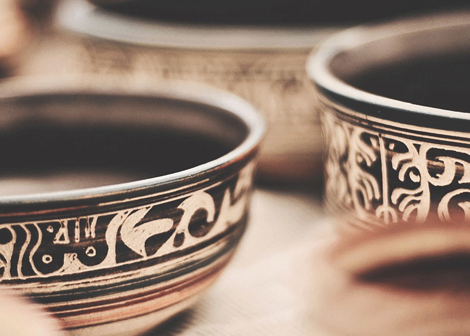 Ira Chaudhuri Website