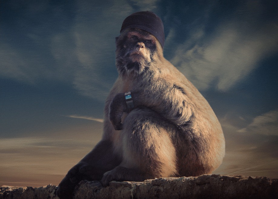 Del mono al millennial