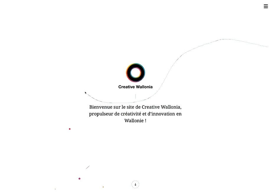Creative Wallonia award-winning website design screenshot 1