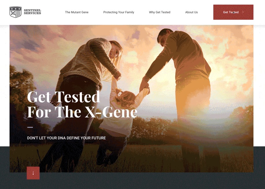 Sentinel Services Site