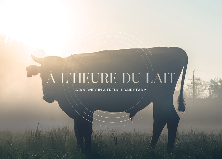 À l'heure du lait award-winning website design screenshot 1