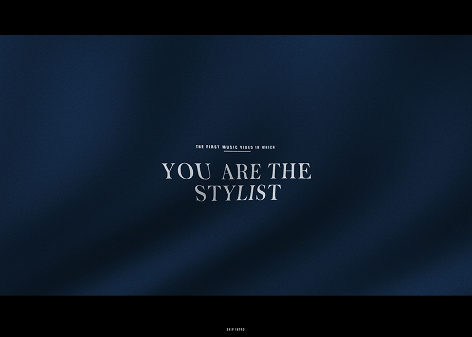 You are the stylist