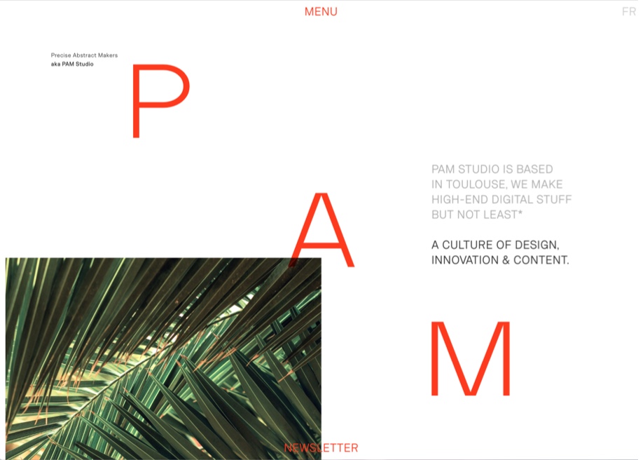 PAM Studio award-winning website design screenshot 1