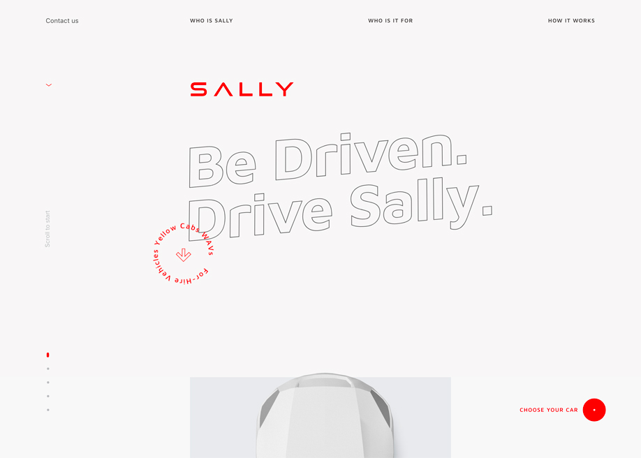 Sally award-winning website design screenshot 1