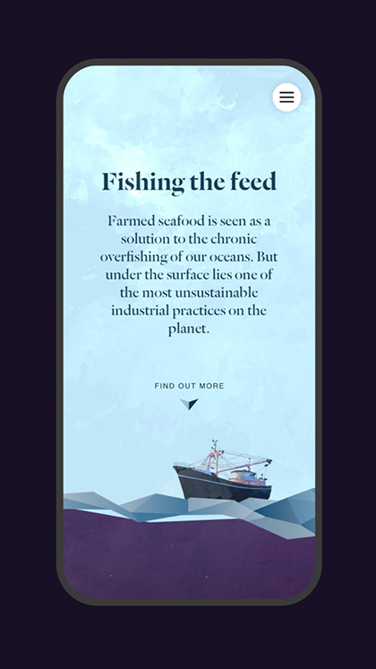 Fishing the Feed